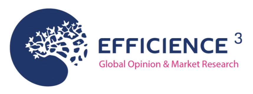 Efficience3 Global Opinion & Market Research