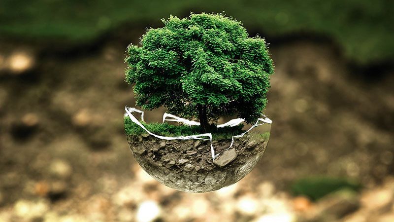 Expertise de Groupe Routage au service d'une association écologique